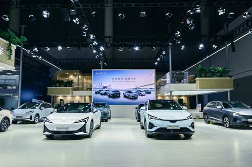 8月新能源汽车销量榜盘点 零跑强势杀入前五，极越首登牌桌