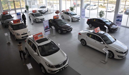 车市遭遇黑天鹅 金九已成烂摊子，银十恐直接步入寒冬