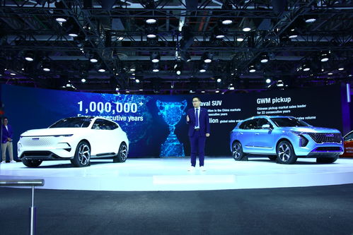 长城汽车首秀印度市场，50余家经销商集团踊跃表达合作意向